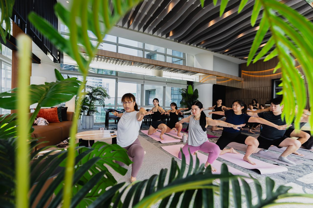 The Matcha Cultured Experience — Workshop Ticket